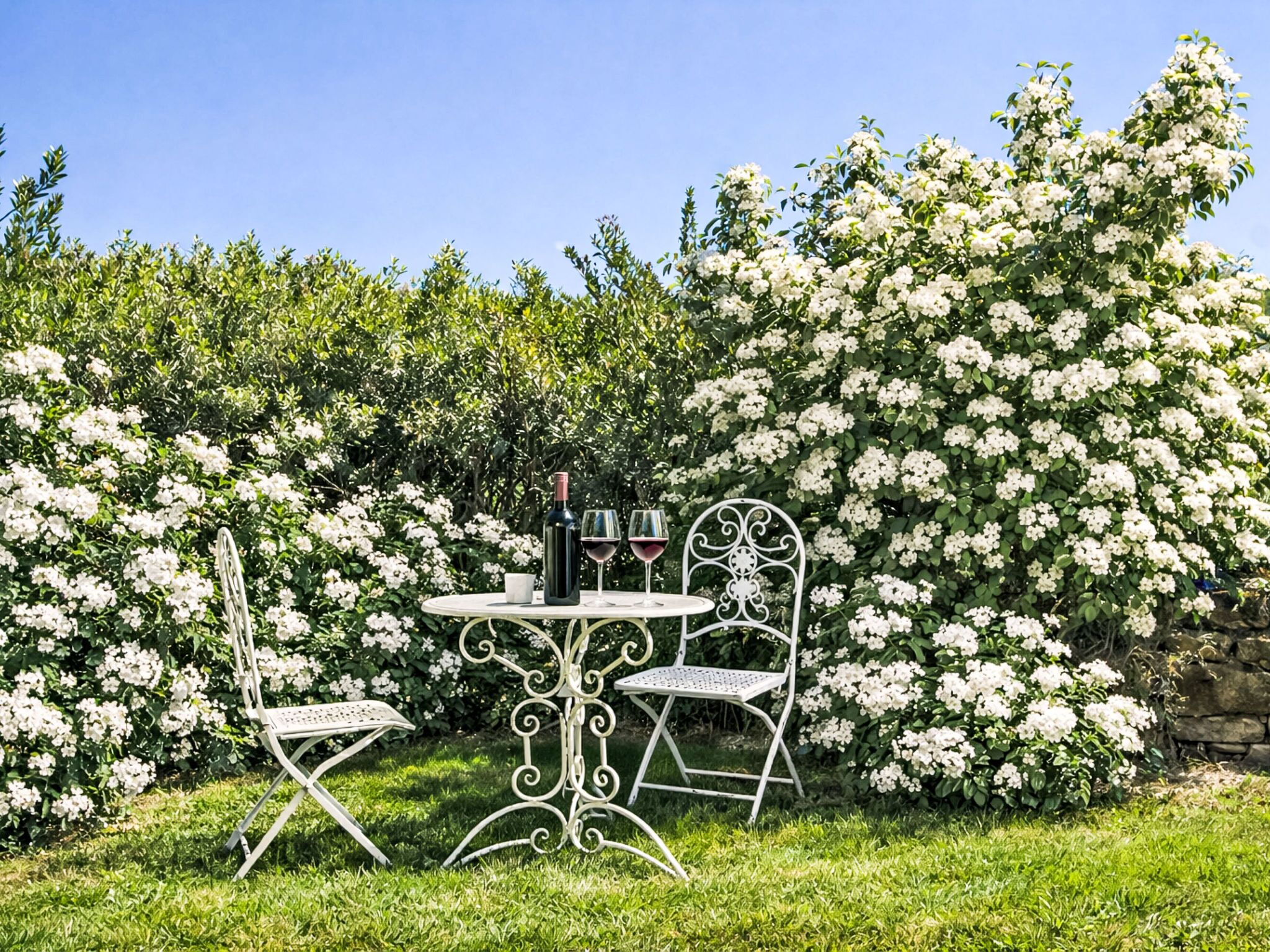 A garden setting with a table and chairs, a bottle of wine, and a glass.