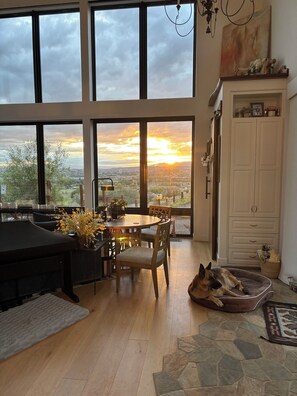 A spacious room with large windows, a dining area, a pet bed, and a cabinet.