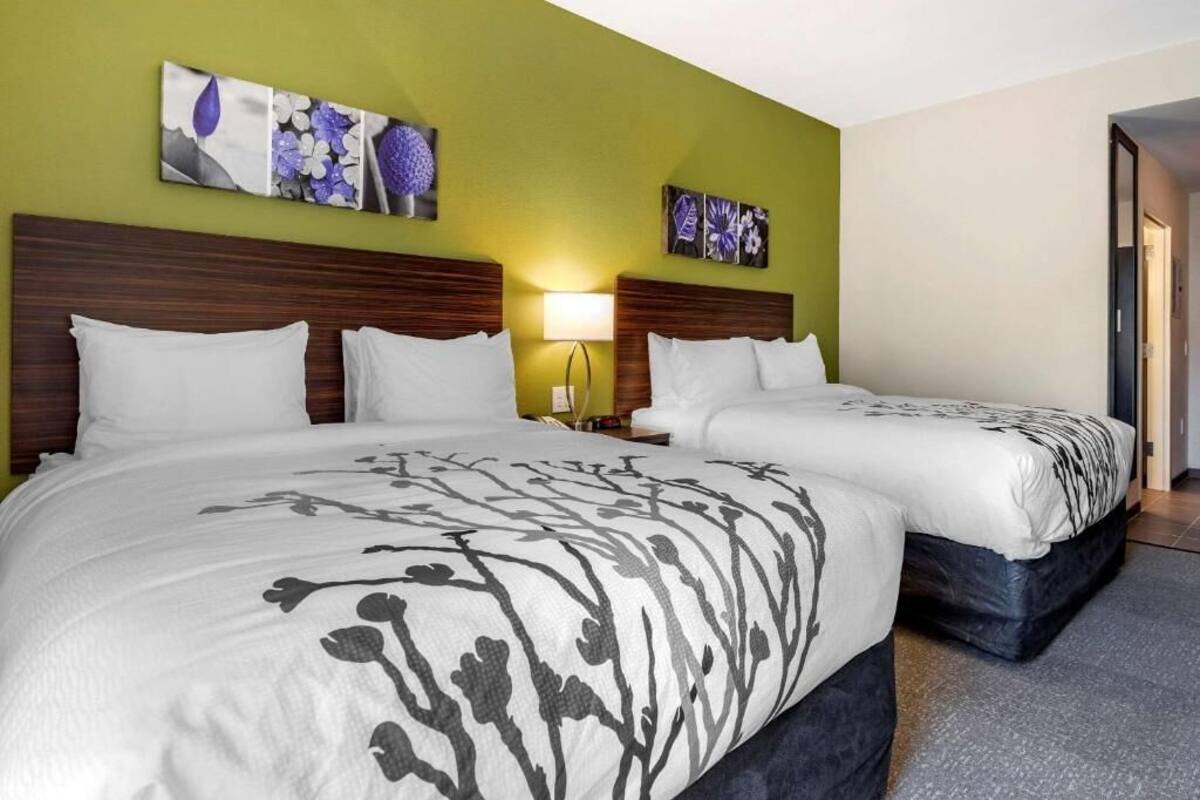 Una habitación de hotel con dos camas, una pared de acento verde y arte floral.