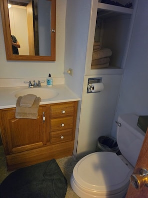 Une salle de bain avec un meuble-lavabo en bois, un évier, un miroir, des toilettes et un porte-serviettes.
