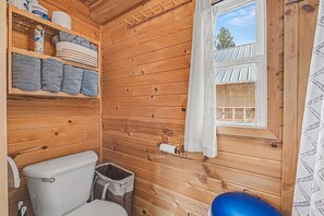 Shower, towels, soap, toilet paper - Fabulous 1-bedroom cabin in pleasant Garden Valley getaway (Garden Valley)