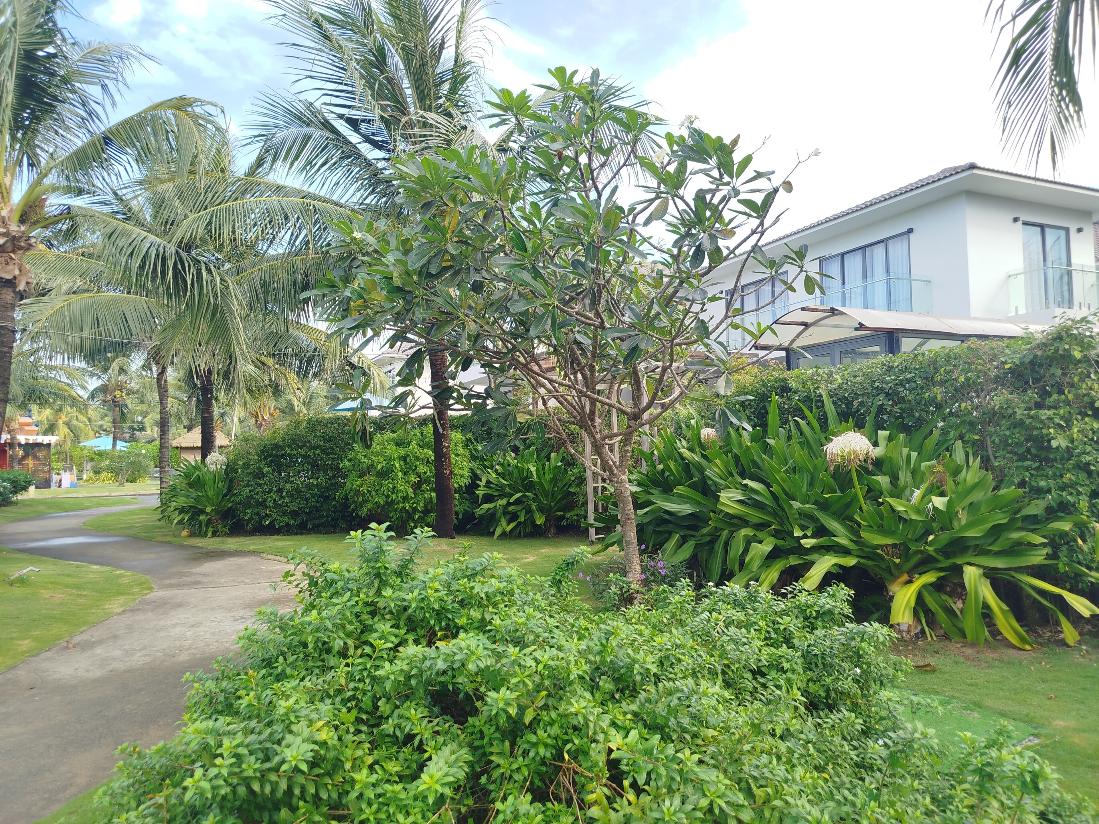 Property grounds