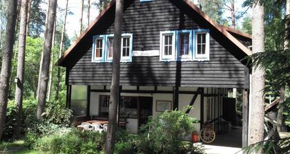 Comfortable House With a Sauna, Close to the Lake
