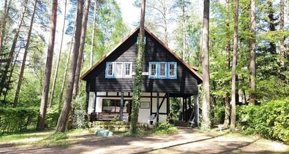 Comfortable House With a Sauna, Close to the Lake