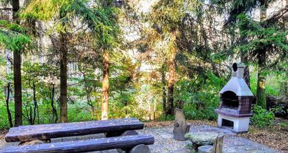 Comfortable House With a Sauna, Close to the Lake