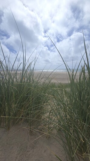 Ein Strand mit Sand und hohem Gras im Vordergrund.