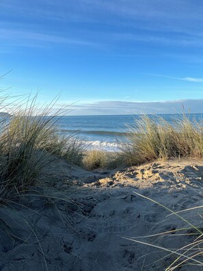 Een strand met zand en gras.
