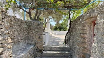 A stone pathway leading to a building entrance, surrounded by stone walls and trees.