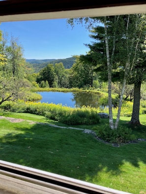 Property grounds - Mountain Hilltop Retreat: Cozy 2-bedroom cottage in serene Bridgewater with AC (Bridgewater)