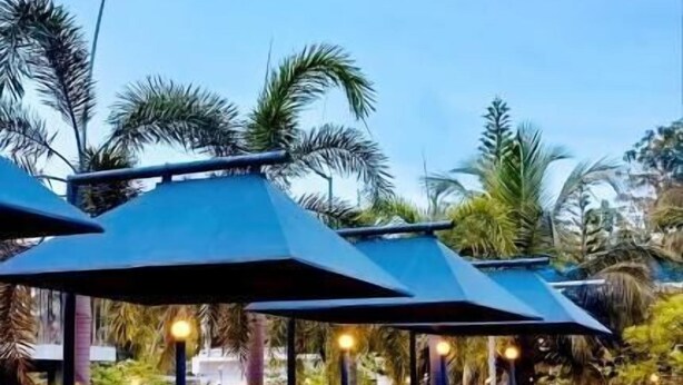 Área de piscina com espreguiçadeiras e guarda-sóis, cercada por palmeiras e vegetação.
