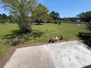 Property grounds - Stylish and Spacious Getaway (Jacksonville)
