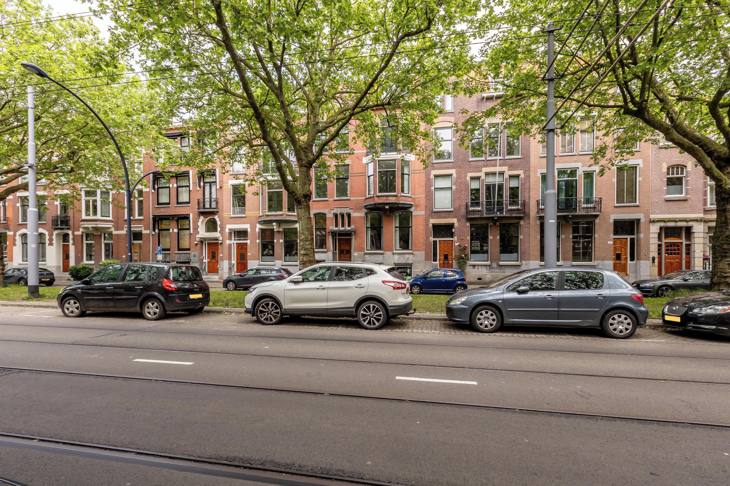 Een rij geparkeerde auto's langs een straat met bomen, met meerhoogbouw op de achtergrond.