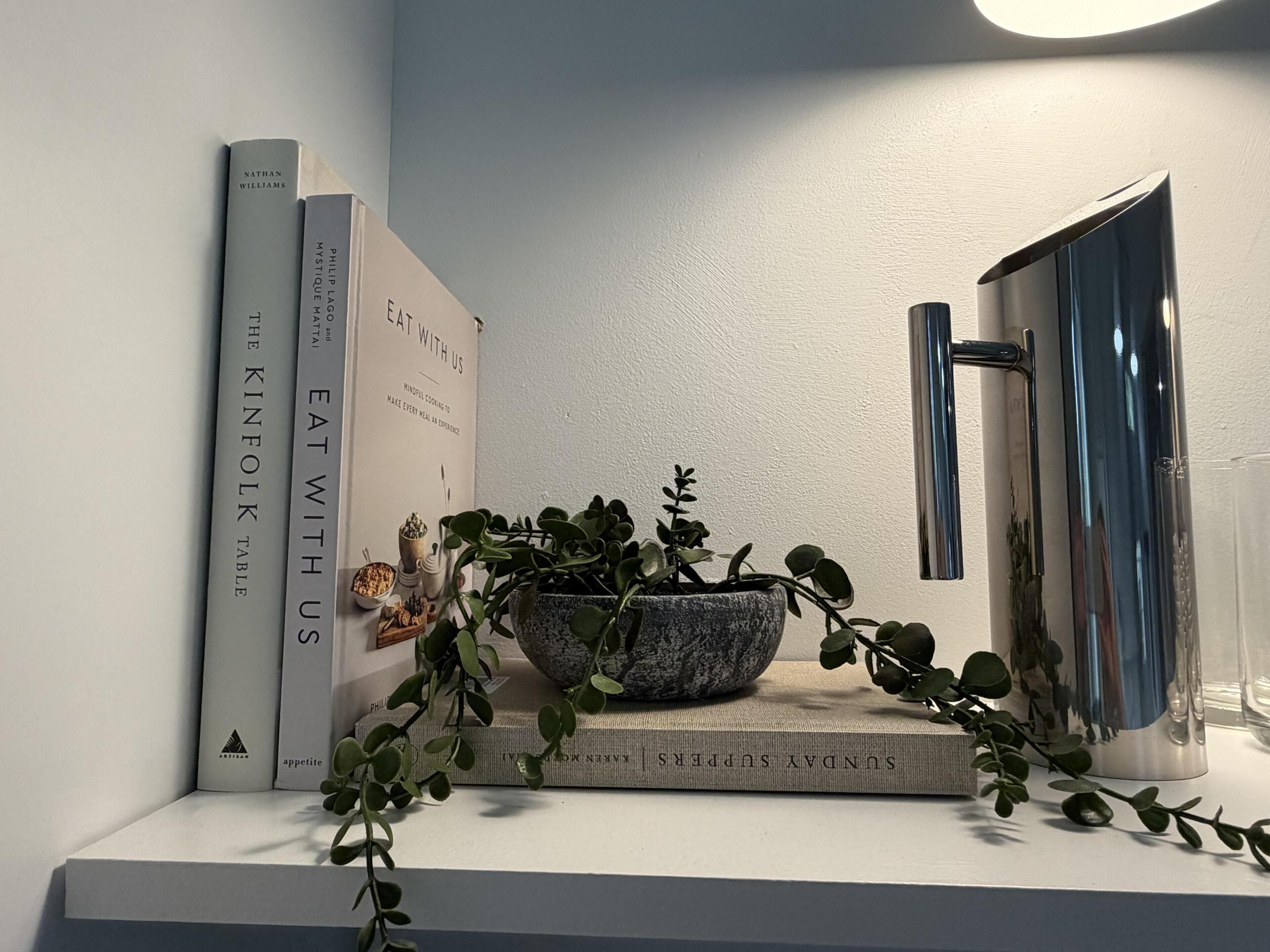 A shelf with books, a bowl, and a potted plant.