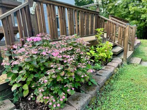 Exterior detail - 3 Bedroom Heart of Manistee Retreat: Close to Lake Michigan & River Street (Manistee)