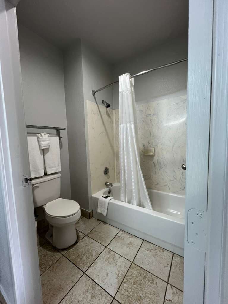 A bathroom with a toilet, a bathtub, and a shower curtain.