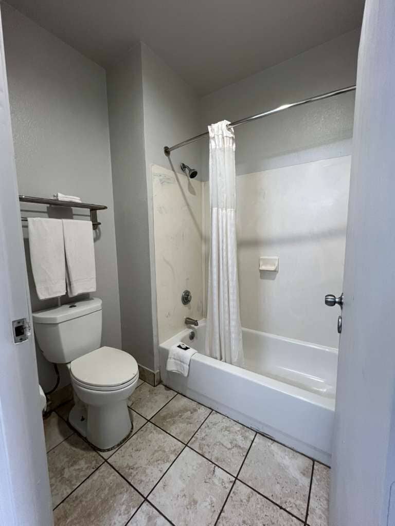 A bathroom with a toilet, a bathtub, and a shower curtain.