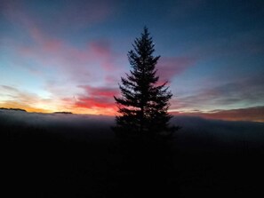 Miscellaneous - Studio apartment on the trails of Mount Pratofiorito, near Bagni di Lucca (Bagni di Lucca)
