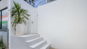 A white staircase leading to a door, a potted plant, and a white wall. - New1BR Villa Private Pool in Uluwatu (Kuta)