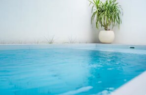 Ein Schwimmbecken mit einer Pflanze im Topf daneben.