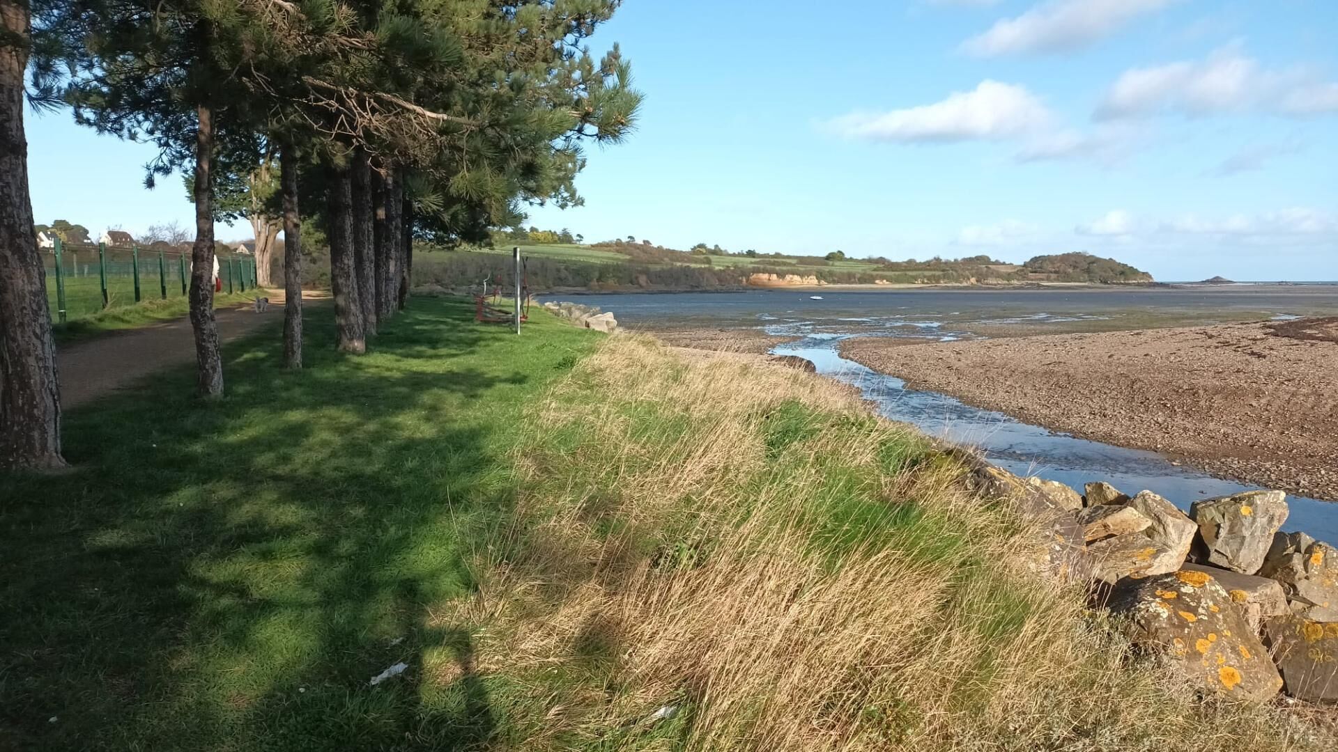 Un paysage côtier avec des arbres, un sentier herbeux et une rive rocheuse.