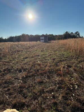 Miscellaneous - Charming mobile home that you relax in the country with rolling pasture views (Abbeville)