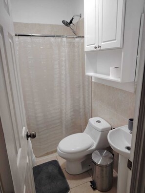 Hair dryer, towels, soap, toilet paper - Precious spacious 2 in 1 Home in Ahuachapan, Ahuachapan, El Salvador (Ahuachapan)