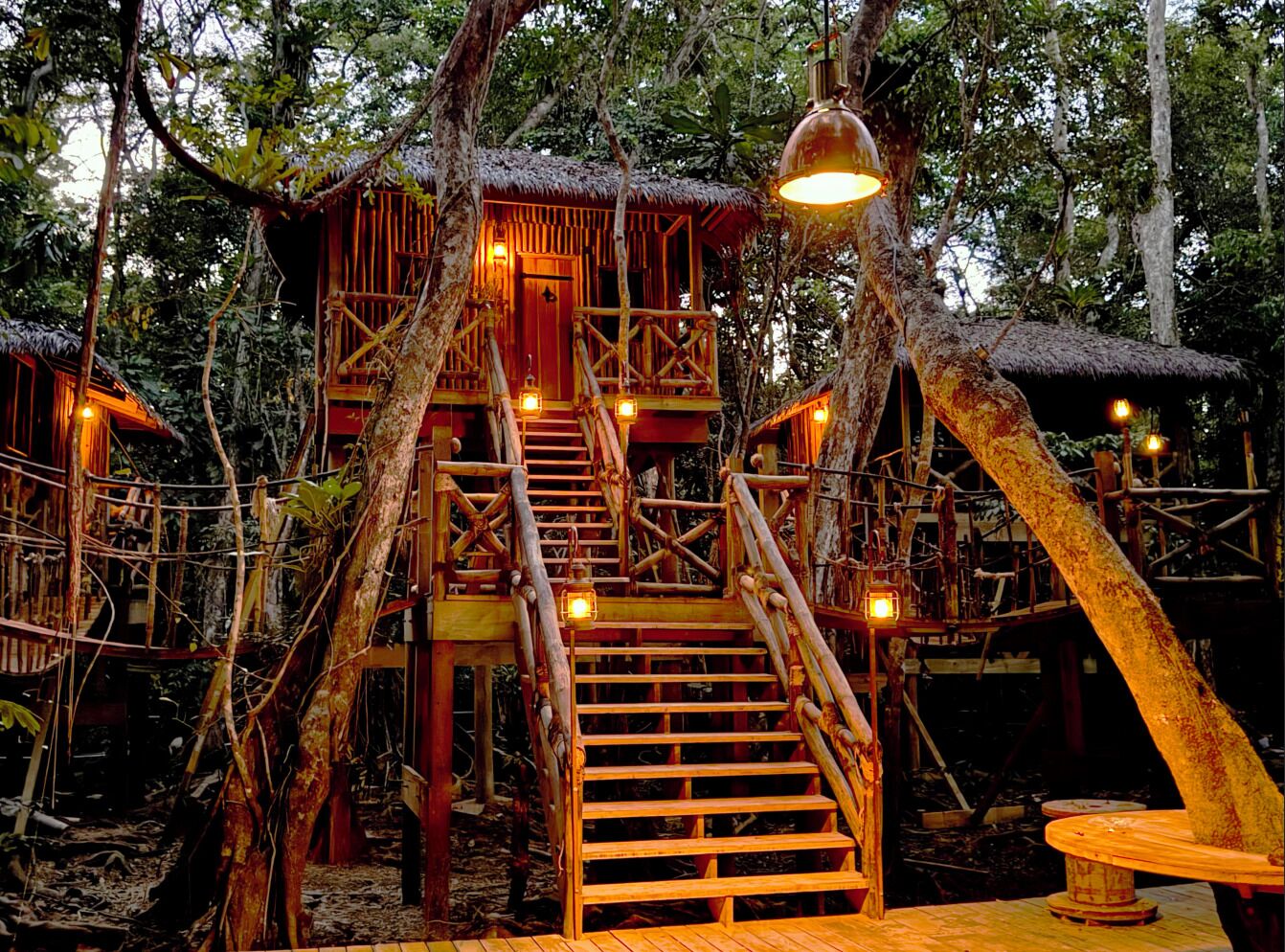 A treehouse structure with wooden stairs and railings, surrounded by dense foliage.