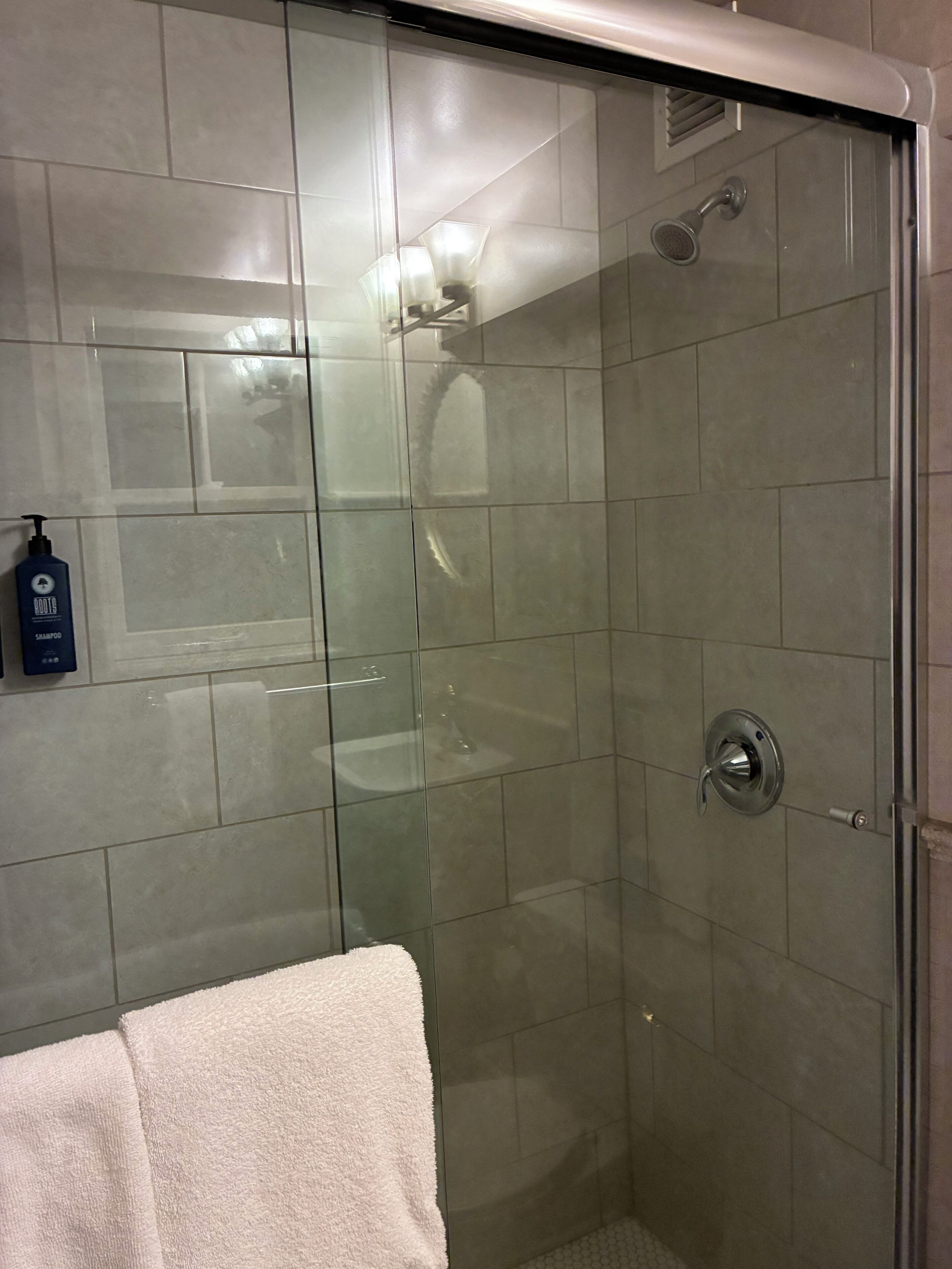A glass-enclosed shower with a handheld showerhead, a visible towel rack, and a bottle of shampoo on the wall.