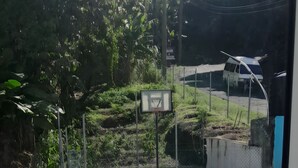 Ein Schwimmbecken mit Stufen, einem Basketballkorb und einem von Grünpflanzen umgebenen, eingezäunten Bereich.