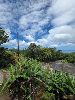 Miscellaneous - Cozy 2-bedroom apartment with AC (Roseau)