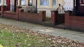 A row of terraced houses with front doors, windows, and a brick fence. - Spacious Home - Sleeps 5 Persons (Liverpool)