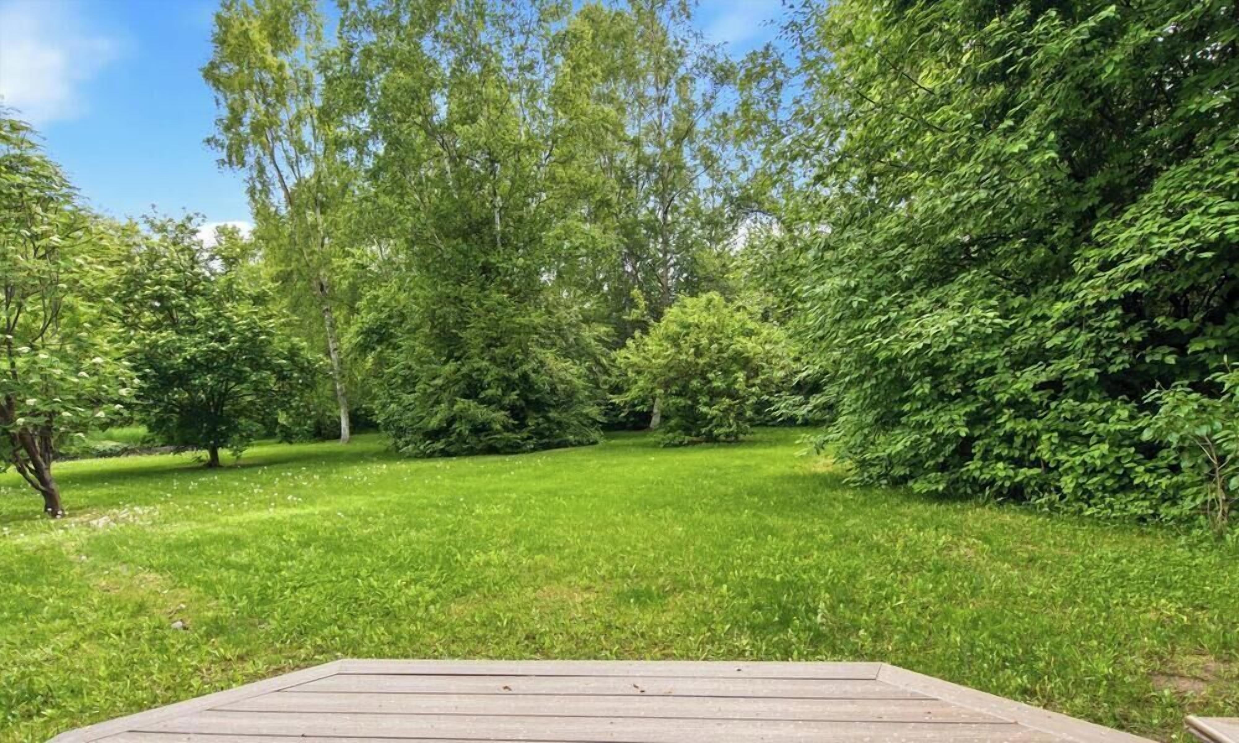 A grassy outdoor area with trees and a wooden deck.