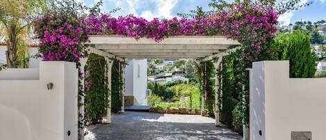 A covered walkway with a white structure, surrounded by greenery and flowering plants.