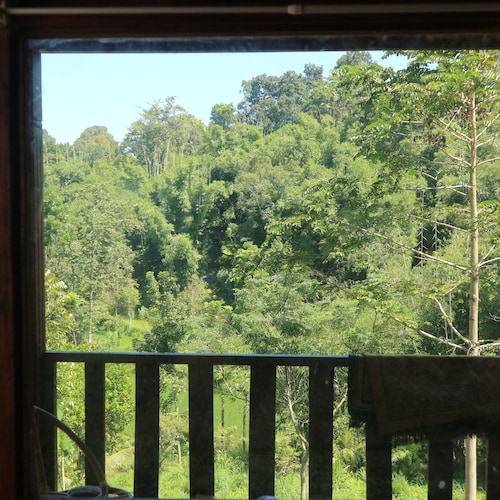 Lembah Tetebatu
