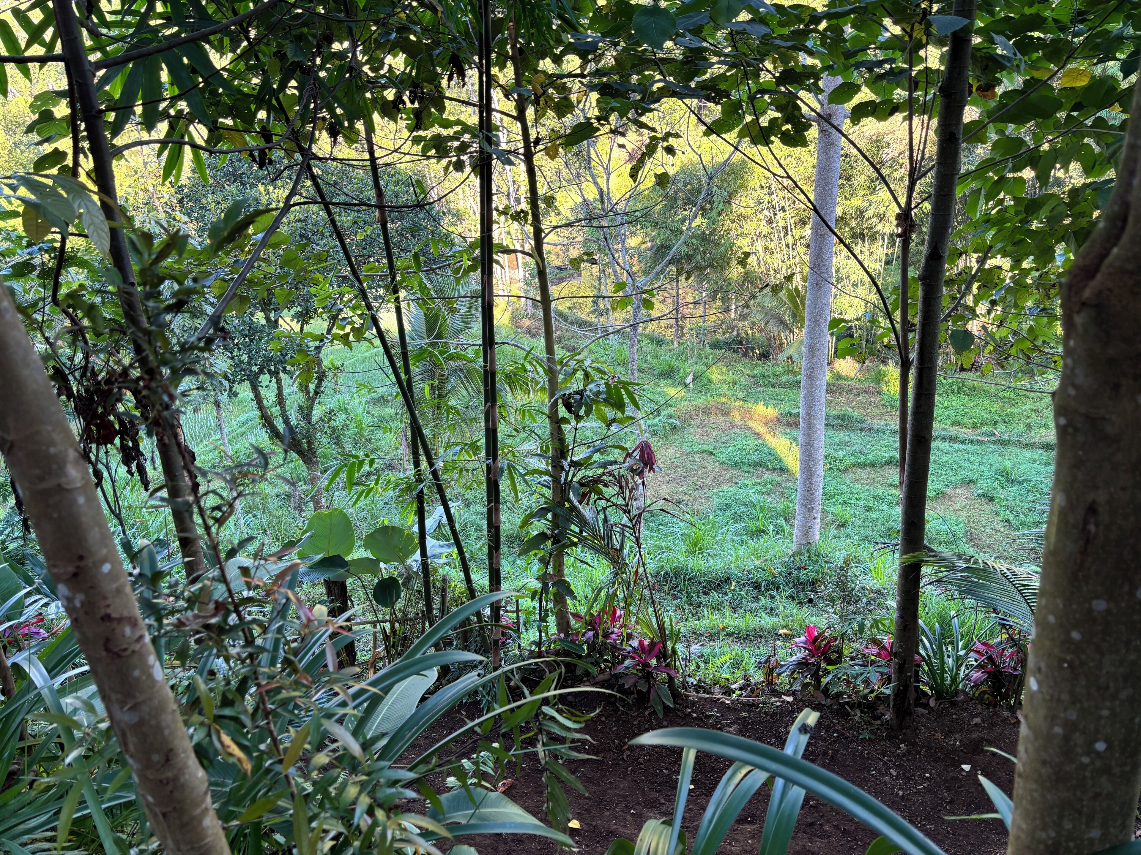 Land view from property