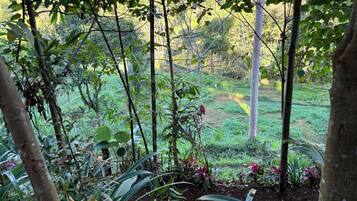 Land view from property