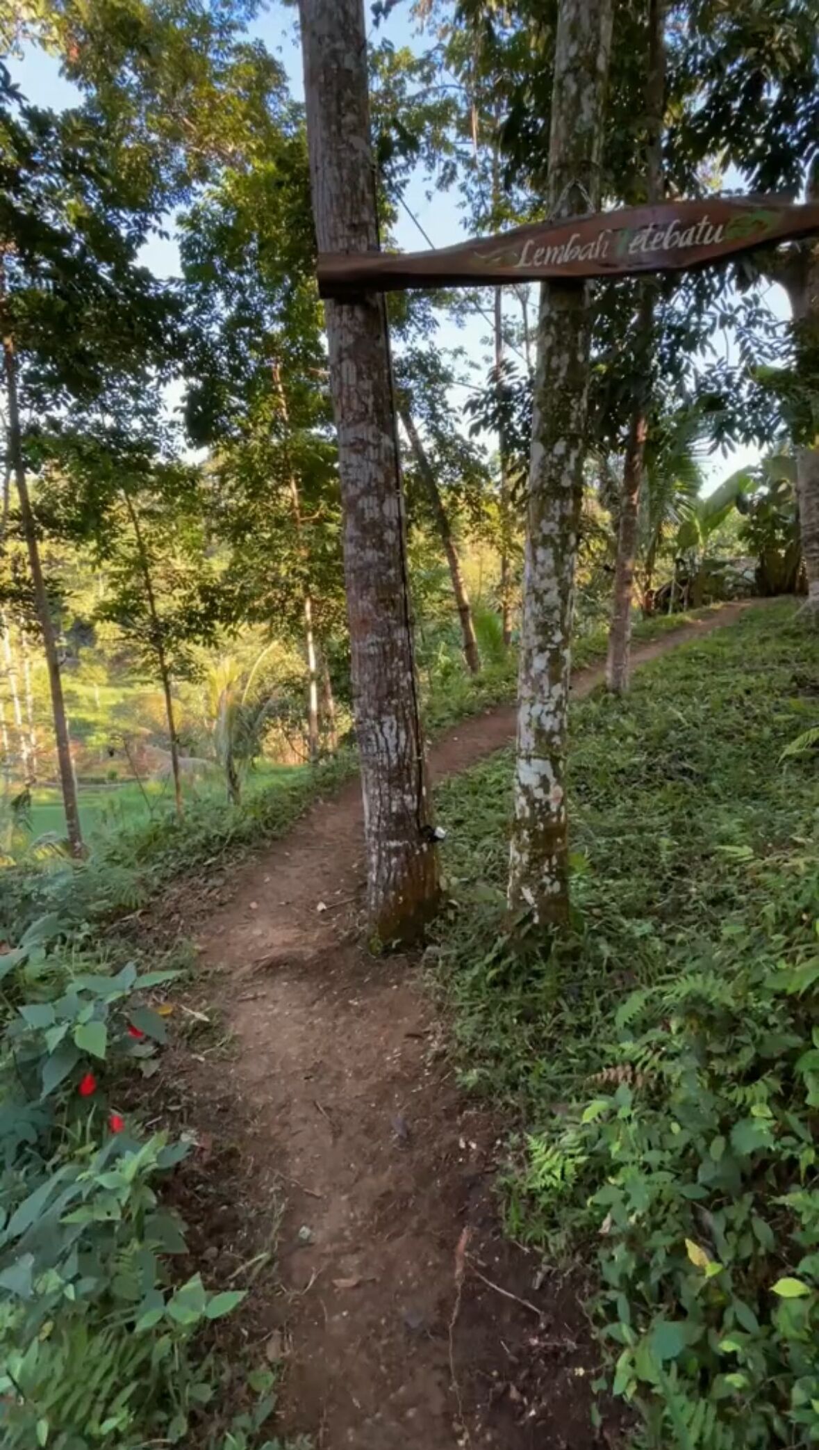Entrada de la propiedad