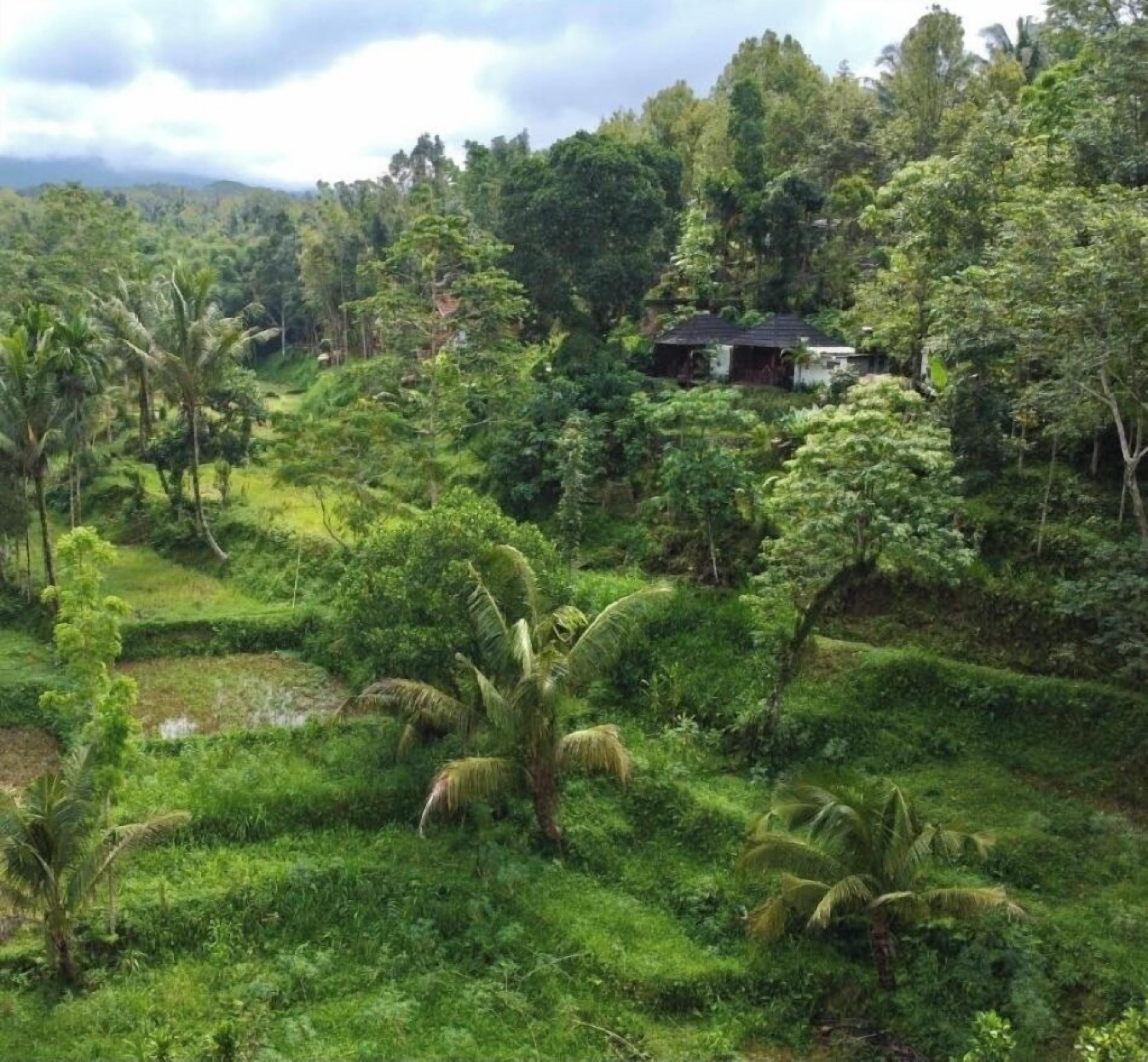 Vista al paisaje