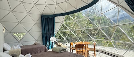WiFi, bed sheets