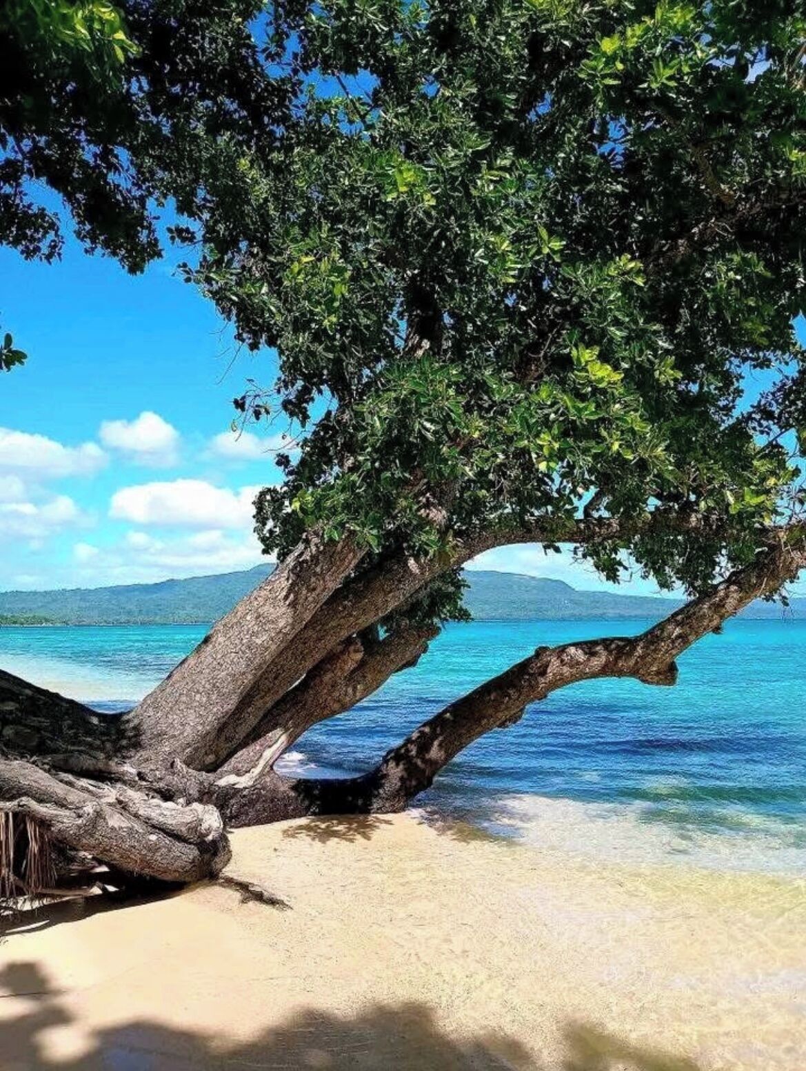 Una spiaggia nelle vicinanze, sabbia scura, teli da spiaggia