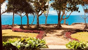A pathway leading to a beach with trees and plants.