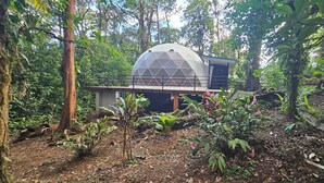 A geodesic dome structure surrounded by dense forest.