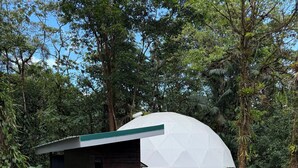 A dome-shaped structure with a green roof, surrounded by lush greenery and flowering plants.
