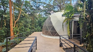 A dome-shaped structure surrounded by dense tropical vegetation, with a wooden walkway leading to it.