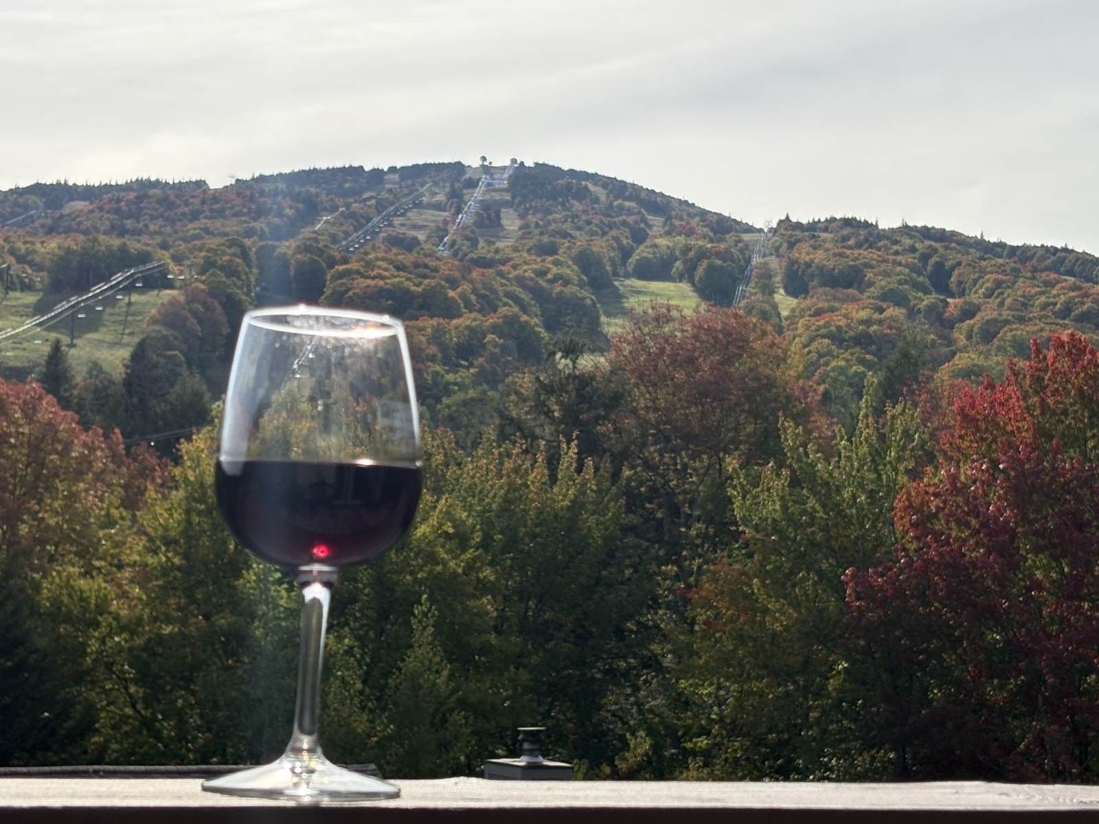 Un verre à vin sur un balcon donnant sur un paysage vallonné, avec des arbres et une route.
