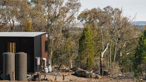 A modern building with a metal roof, surrounded by trees and a clear sky.