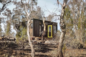 A small, dark-colored cabin with a yellow door, surrounded by trees and rocky terrain.