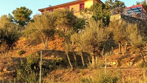 A house with a red roof, surrounded by olive trees and a stone wall. - Wellness retreat with olive grove in Framura (Framura)