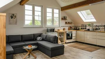 Fernseher, Kamin