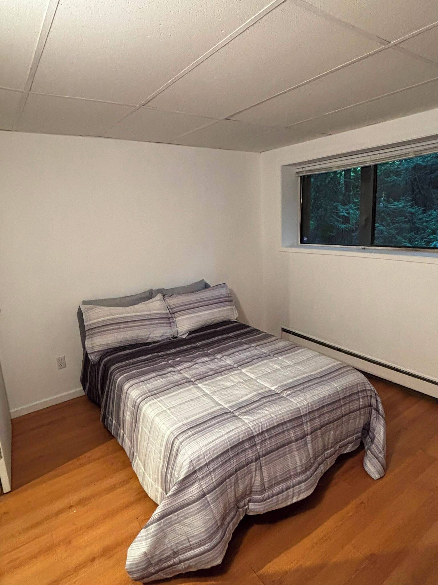 Une chambre à coucher avec un lit, une fenêtre donnant sur des arbres et un plafond blanc.